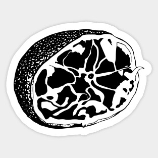 Squeezed Lemon Sticker